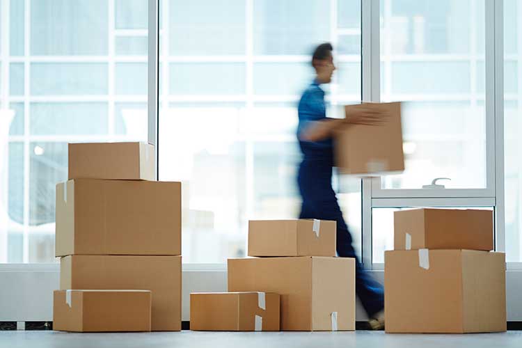 Moving Companies In Coral Gables